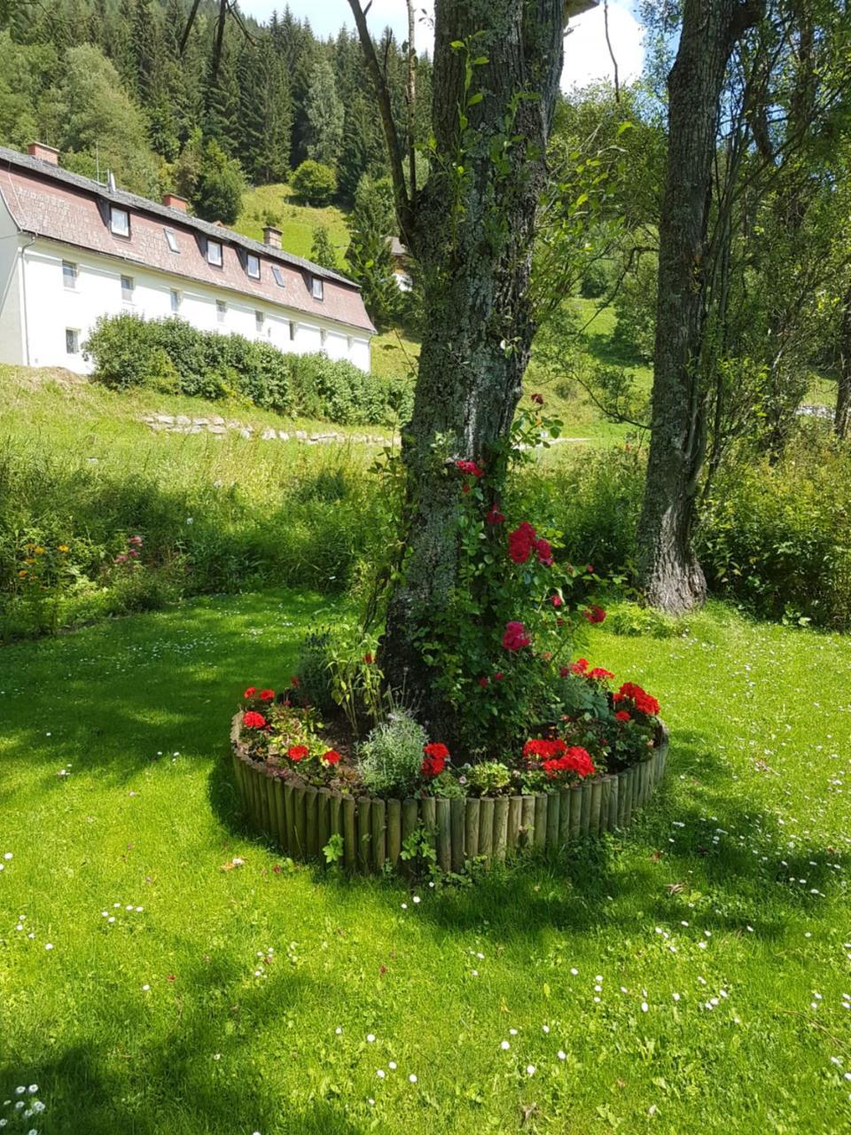 Riverside Ski Apartment Ramingstein Exteriör bild